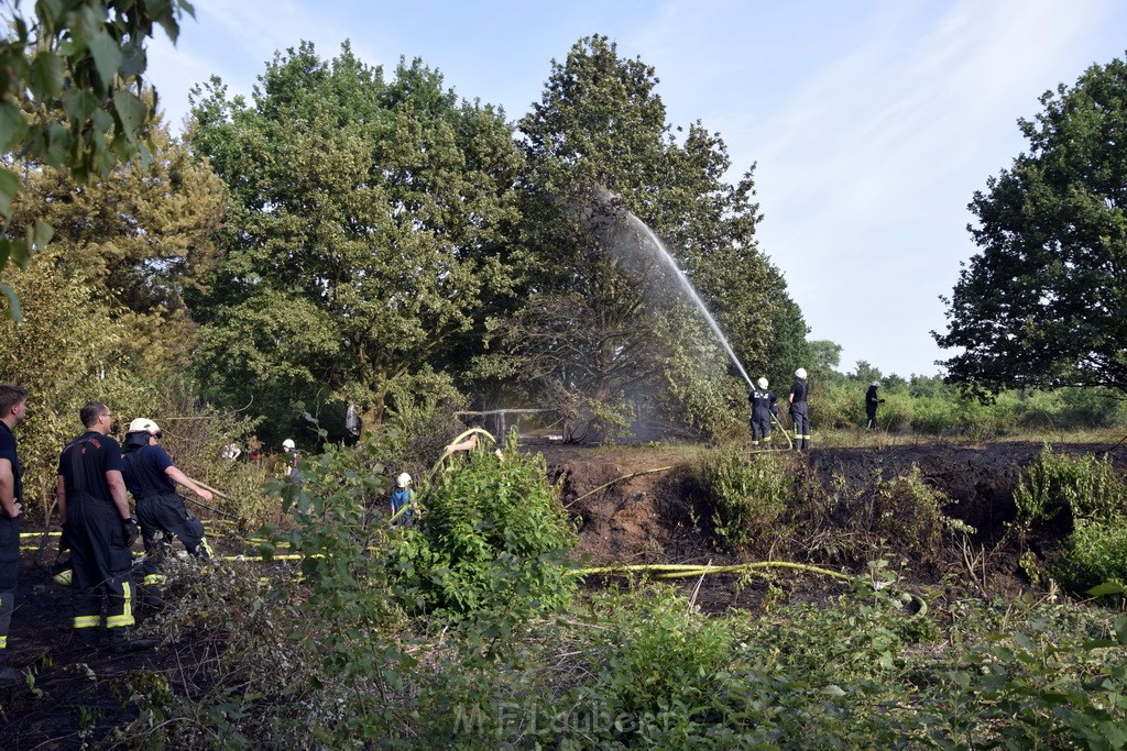 Waldbrand Koeln Hoehenhaus Hoehenfelder Mauspfad P116.JPG - Miklos Laubert